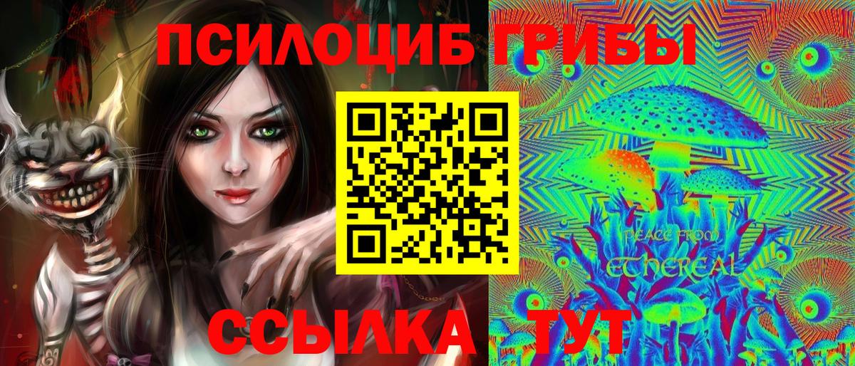 Псилоцибиновые грибы мухоморы Десногорск