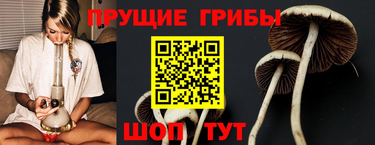 Псилоцибиновые грибы Magic Shrooms  Вход с VPN  Десногорск 